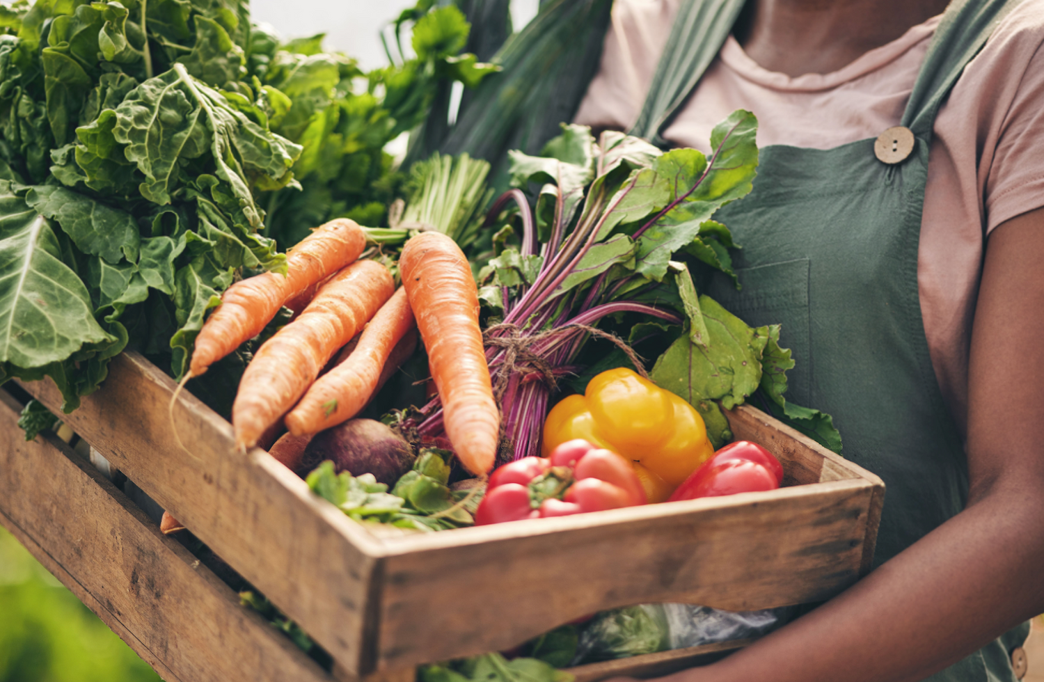 Vegan | Vegetariana